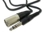 Microphone Cable (Stereo Plug To XLR Plug)